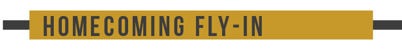 Fly In Banner